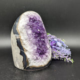 Amethyst Mini Geode~CRAMMG07