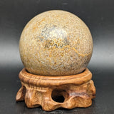 Dinosaur Bone Sphere~CRFDINO3