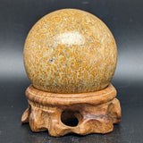 Dinosaur Bone Sphere~CRFDINO4