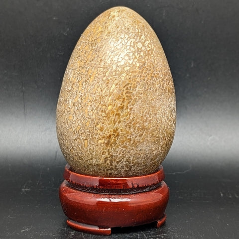 Dinosaur Bone Egg Shape~CRFDINO1