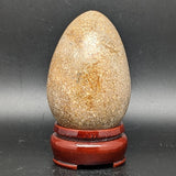 Dinosaur Bone Egg Shape~CRFDINO1