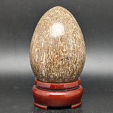 Dinosaur Bone Egg Shape~CRFDINO2