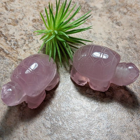 Cat's Eye Rose Quartz Turtle~CRCERQTR