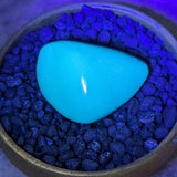 Blue Amber Free Form~CRIBAP11