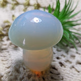 Opalite Mushroom~CROPALIT