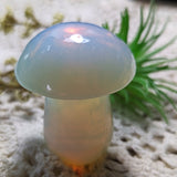 Opalite Mushroom~CROPALIT