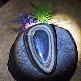 Rainbow Obsidian Palm Stone~CRROPS03