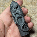 Shungite Dragon Tower~CRSHUNDT