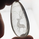 Rutilated Quartz "Majestic Deer" Cabochon~CRLQZMD1