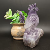 Amethyst Bird Carving~CRAMBIRD