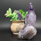 Amethyst Bird Carving~CRAMBIRD