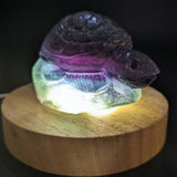 Fluorite Turtle Carving~CRFLTURT