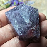 Unicorn Stone Faceted Nugget~CRUNSFN1