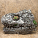 Emberlite T Rex Skull Carving~CREMTREX