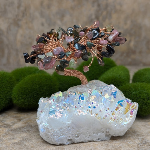 Angel Aura & Mixed Tourmaline Gem Tree~CRAAMTGT