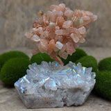 Angel Aura & Peach Moonstone Gem Tree~CRAAPMGT