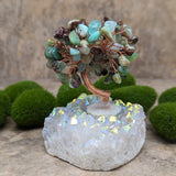 Angel Aura & Chrysoprase Gem Tree~CRAACHGT