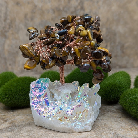 Angel Aura & Tiger Eye Gem Tree~CRAATEGT