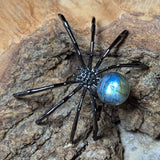 Labradorite Spider~CRLSPDR2