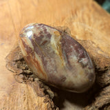 Petrified Wood Palm Stone~CRPTWPS2