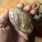 Petrified Wood Palm Stone~CRPTWPS3