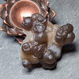 Truffle Chalcedony~CRTRUFC8