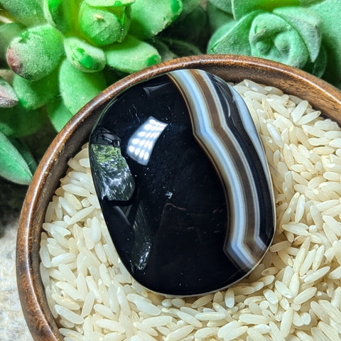 Black Onyx & Quartz Palm Stones~CRBOQPS4