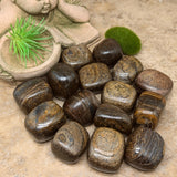 Tumbled Bronzite~TUMBRONZ