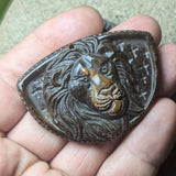 Tiger Eye "Aslan" Carving~CRCRV151