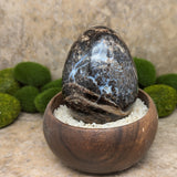 Black Opal Egg~Large~CRBLKOPL