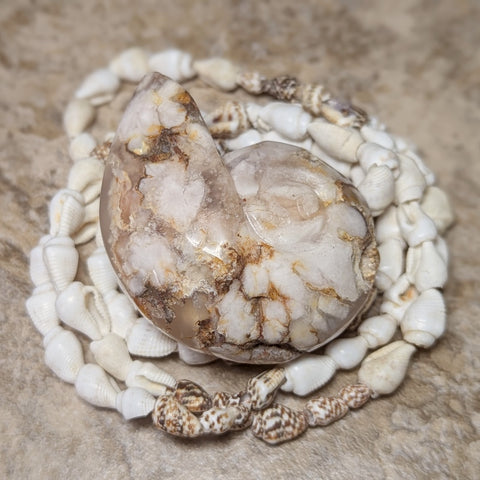 Manifestation Chalcedony Nautilus Carving~CRMCNC01