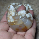 Manifestation Chalcedony Nautilus Carving~CRMCNC02