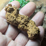 Dino Poop~ Coprolite~CRFCDP10