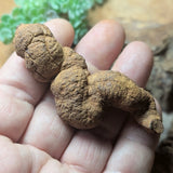 Dino Poop~ Coprolite~CRFCDP12
