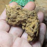 Dino Poop~ Coprolite~CRFCDP20
