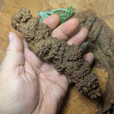 Dino Poop~ Coprolite~CRFCDP25