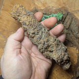 Dino Poop~ Coprolite~CRFCDP26