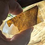 Golden Healer Dendritic Quartz Tower~CRGHDQT4