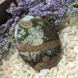 Rainforest Rhyolite Cabochon~JRRJCAB2