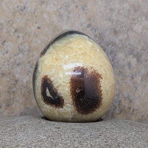 Septarian Nodule Egg~CRSNEGG1