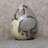 Septarian Nodule Egg~CRSNEGG2