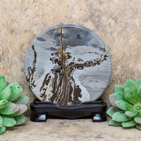 Dendritic Jasper Display Piece~CRDJDP01