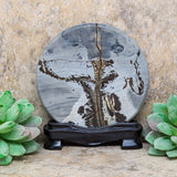 Dendritic Jasper Display Piece~CRDJDP01