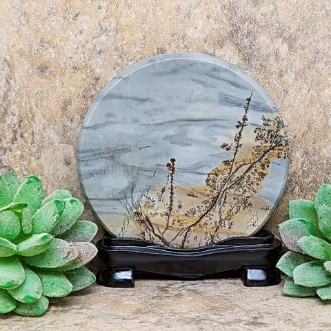 Dendritic Jasper Display Piece~CRDJDP02