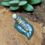 Lace Agate Caterpillar Carving~CRLACPC1