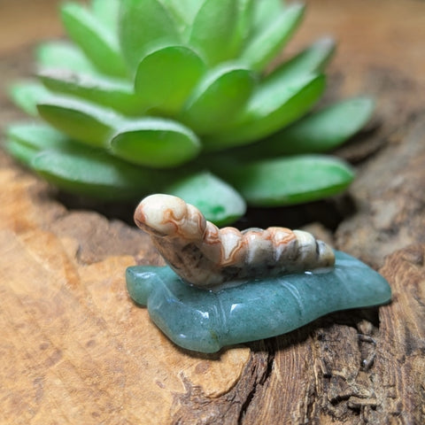 Lace Agate Caterpillar Carving~CRLACPC2