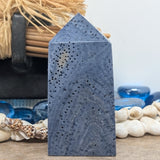 Blue Coral Generator~CRBLCR01