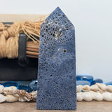 Blue Coral Generator~CRBLCR02