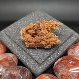 Spiky Red Dogtooth Calcite~CRSRDC03