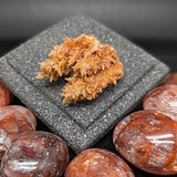 Spiky Red Dogtooth Calcite~CRSRDC03
